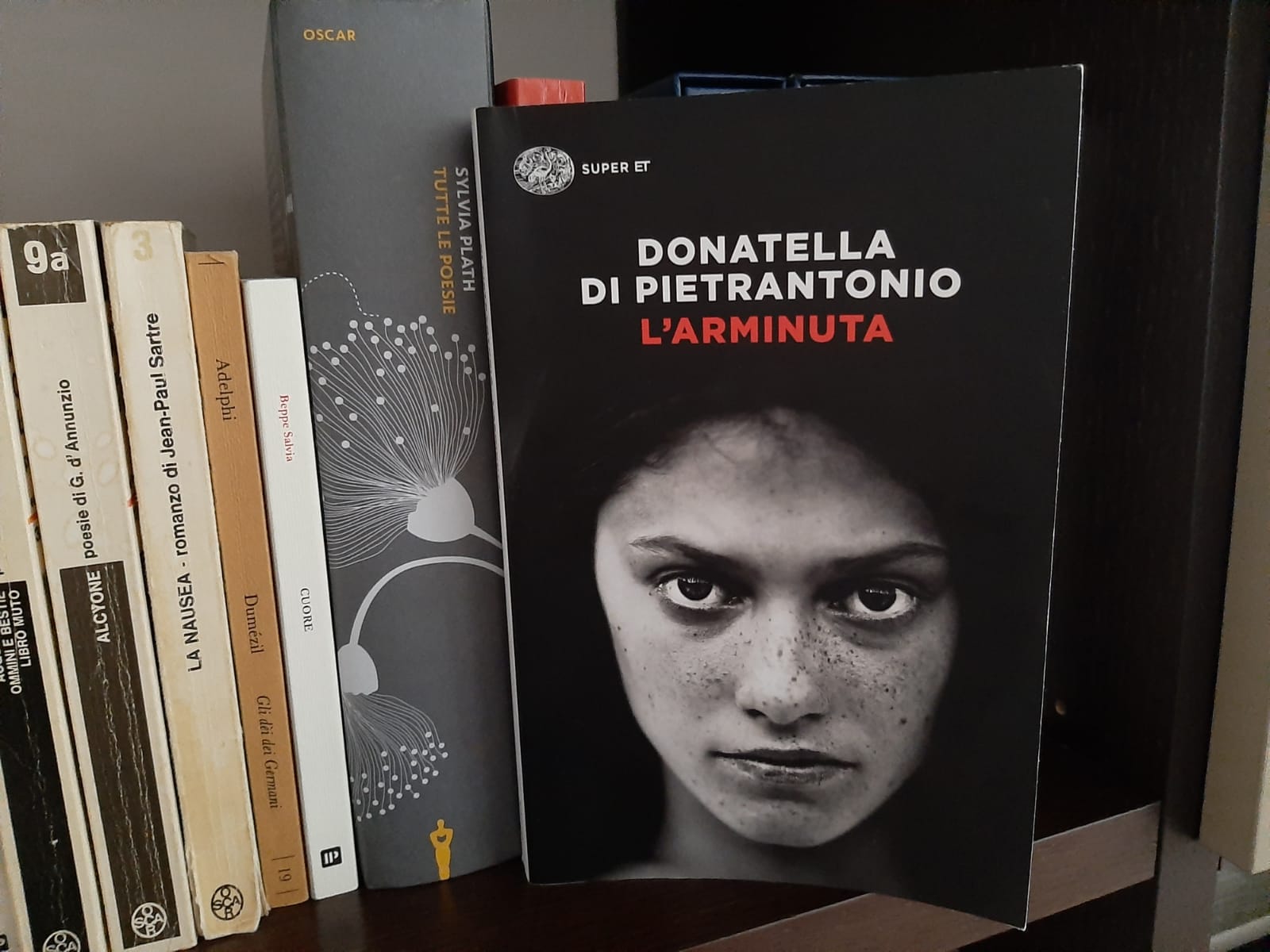 L'Arminuta di Donatella Di Pietrantonio - Premio Torre Crawford